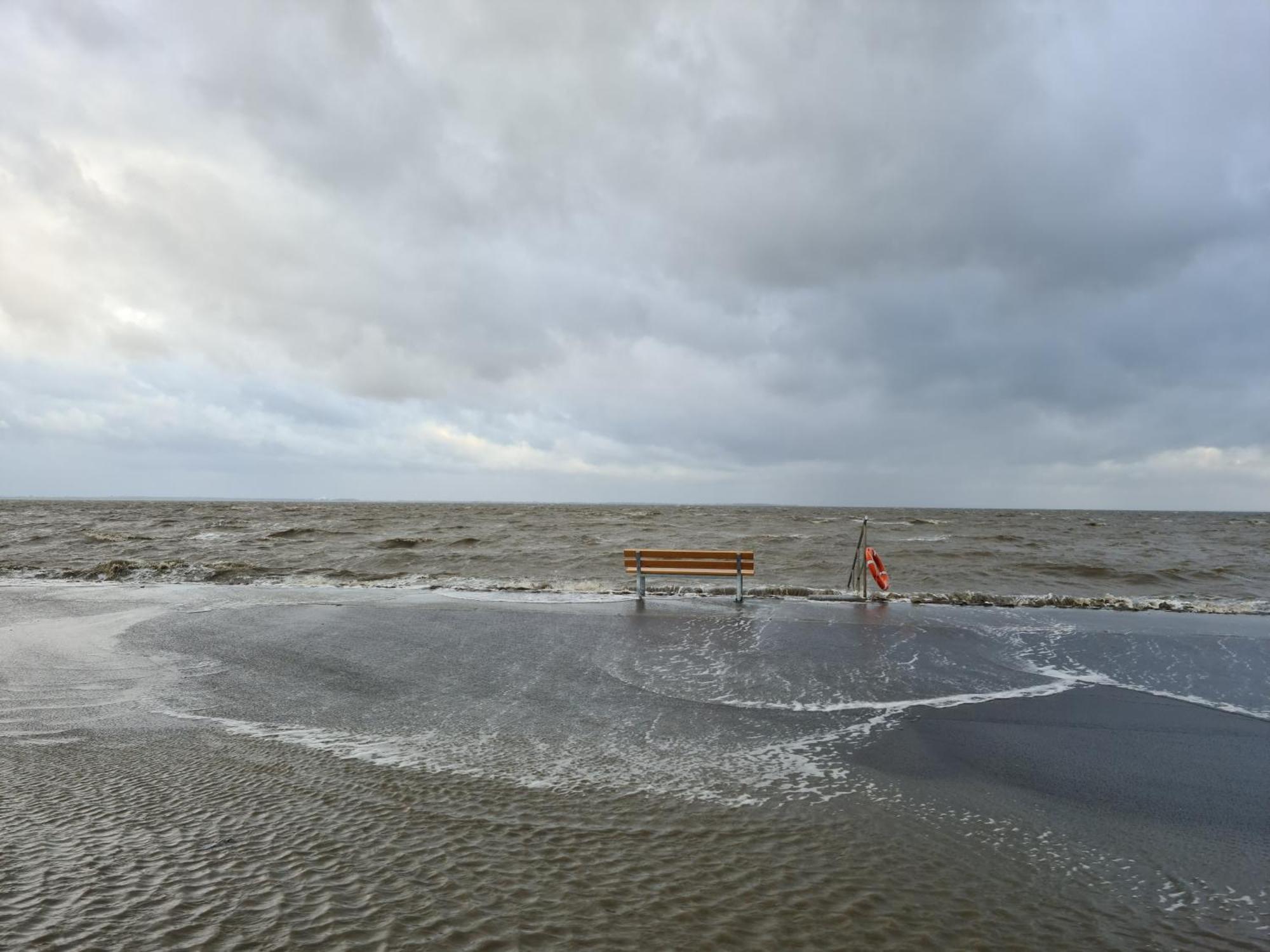 Haus Pudelwohl - Hundefreundliches Ferienhaus An Der Nordseekueste Sehestedt  Экстерьер фото